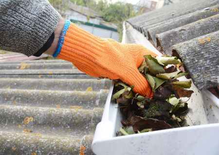 How Often Should You Clean Your Gutters?