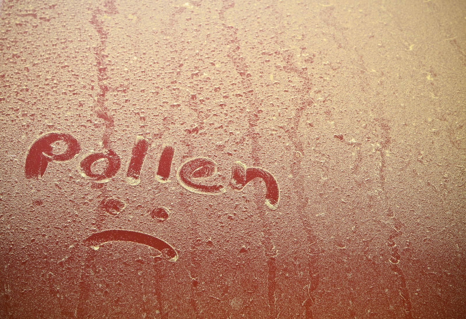 Reduce Spring Pollen with Soft Washing