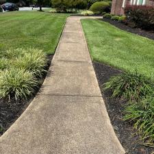 Driveway and Brick Cleaning in Greer, SC 3