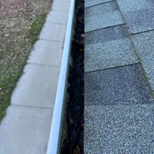 Gutter Cleaning 0