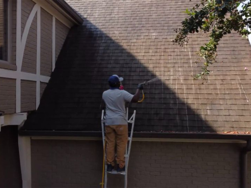 Roof Washing Service