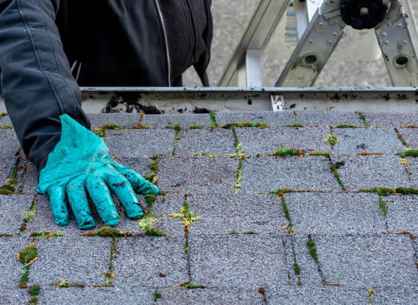 Simpsonville roof cleaning guide