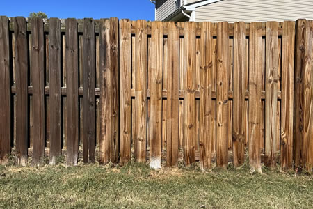 Technician soft washing a wood fence in greenville sc neighborhood