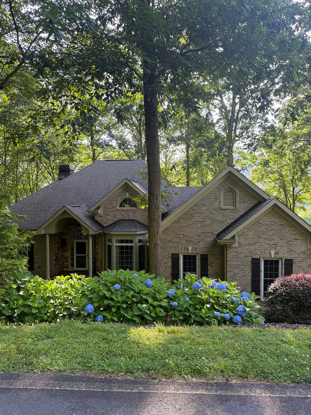 Gutter, Deck, and Driveway Cleaning in Travelers Rest, SC